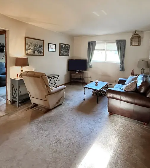 Modern flooring in living room
